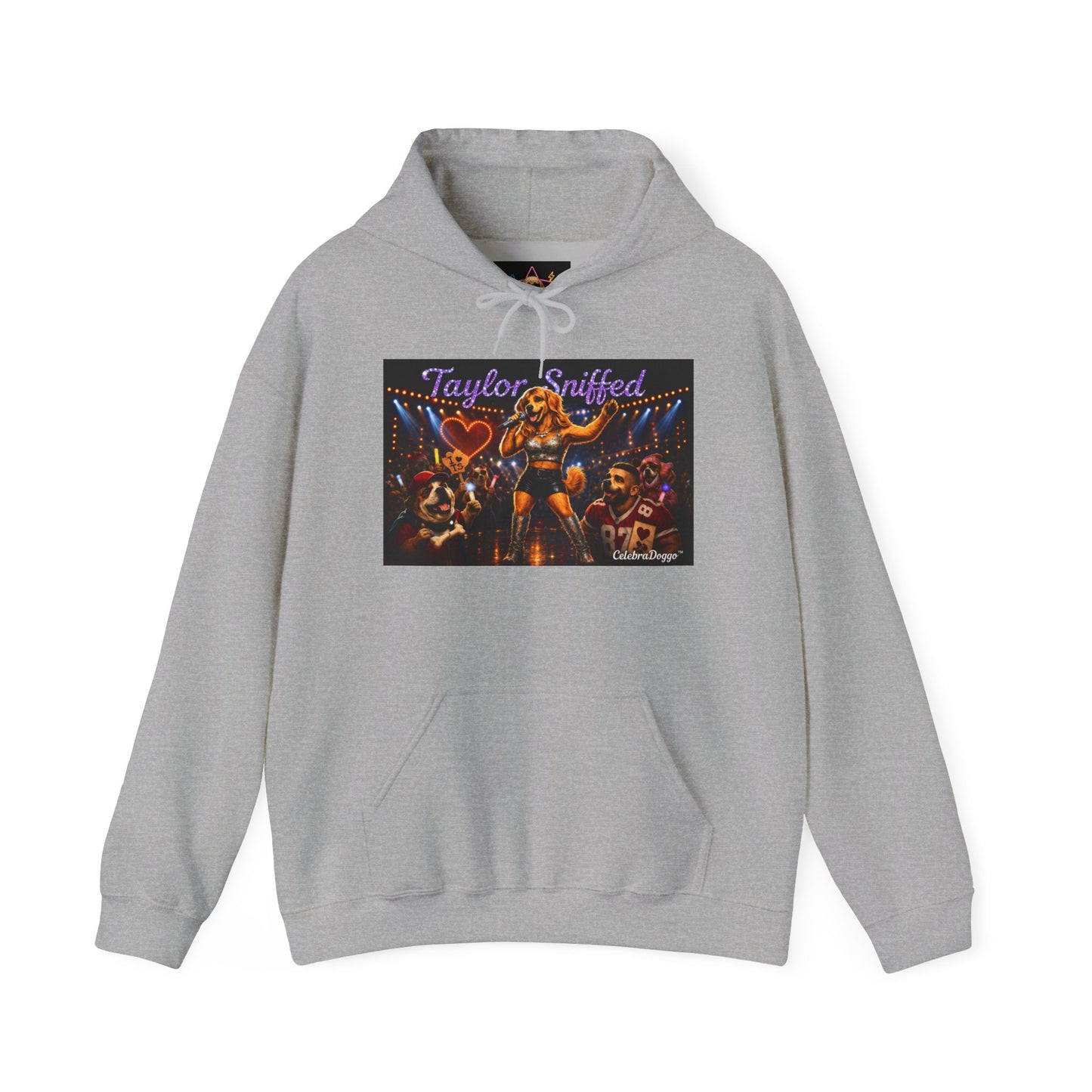 Hoodie — Taylor Sniffed 'Eras' Vintage Tour Poster Pullover