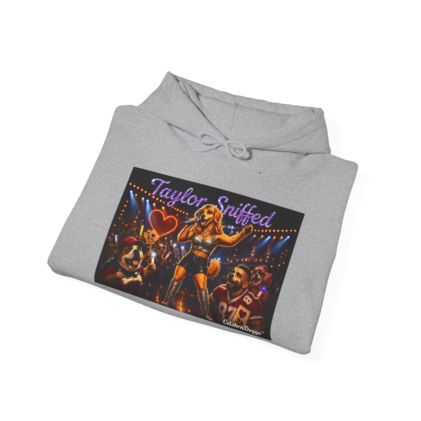 Hoodie — Taylor Sniffed 'Eras' Vintage Tour Poster Pullover