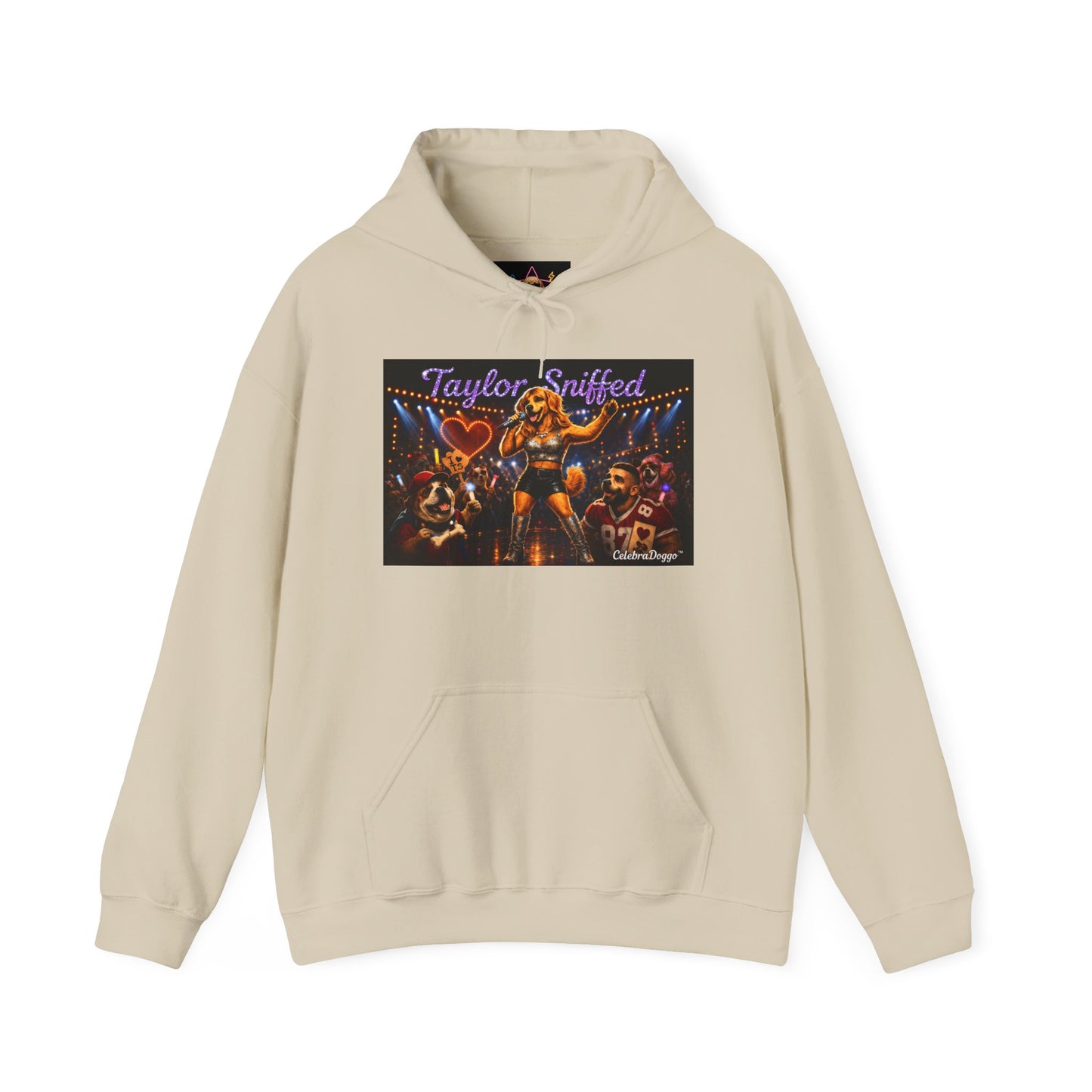 Hoodie — Taylor Sniffed 'Eras' Vintage Tour Poster Pullover