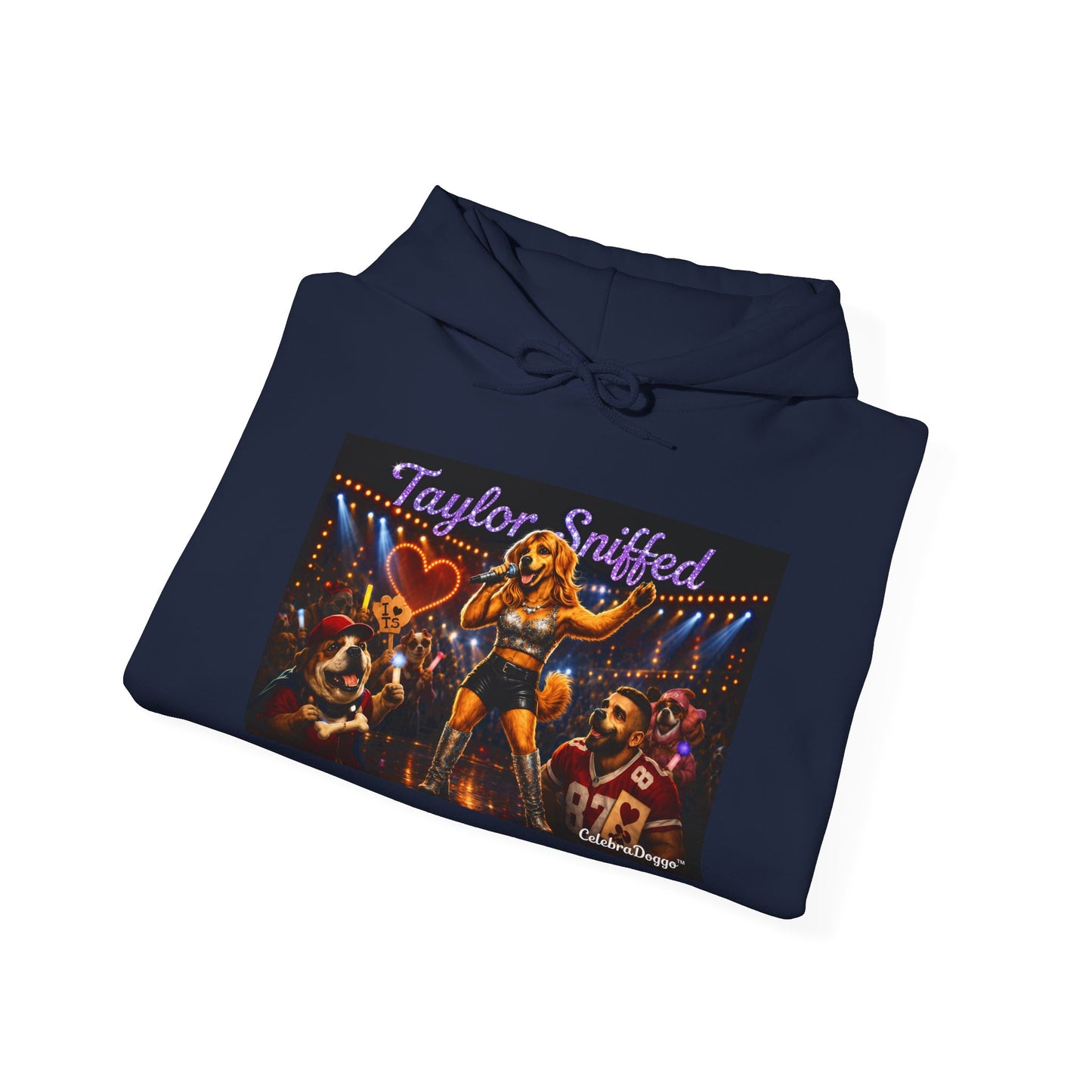 Hoodie — Taylor Sniffed 'Eras' Vintage Tour Poster Pullover