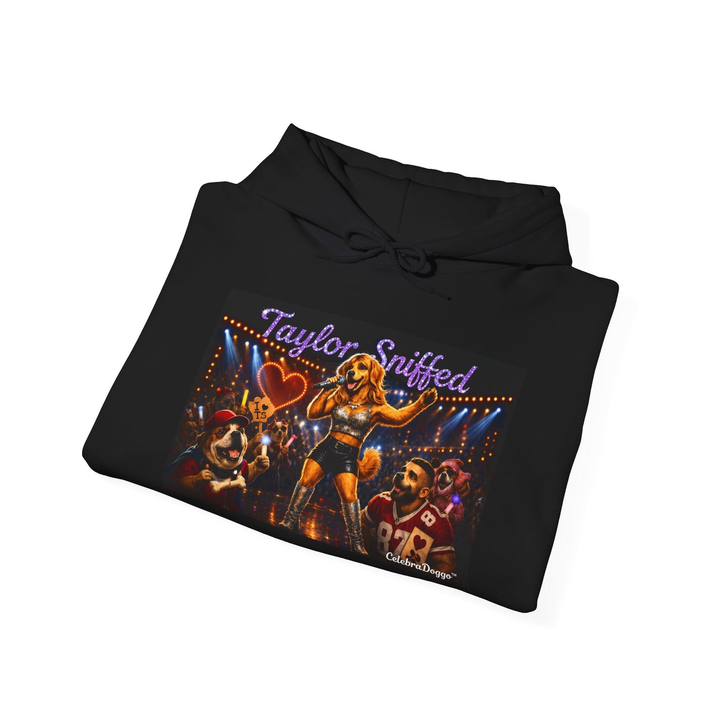 Hoodie — Taylor Sniffed 'Eras' Vintage Tour Poster Pullover